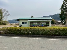 IMG 9782